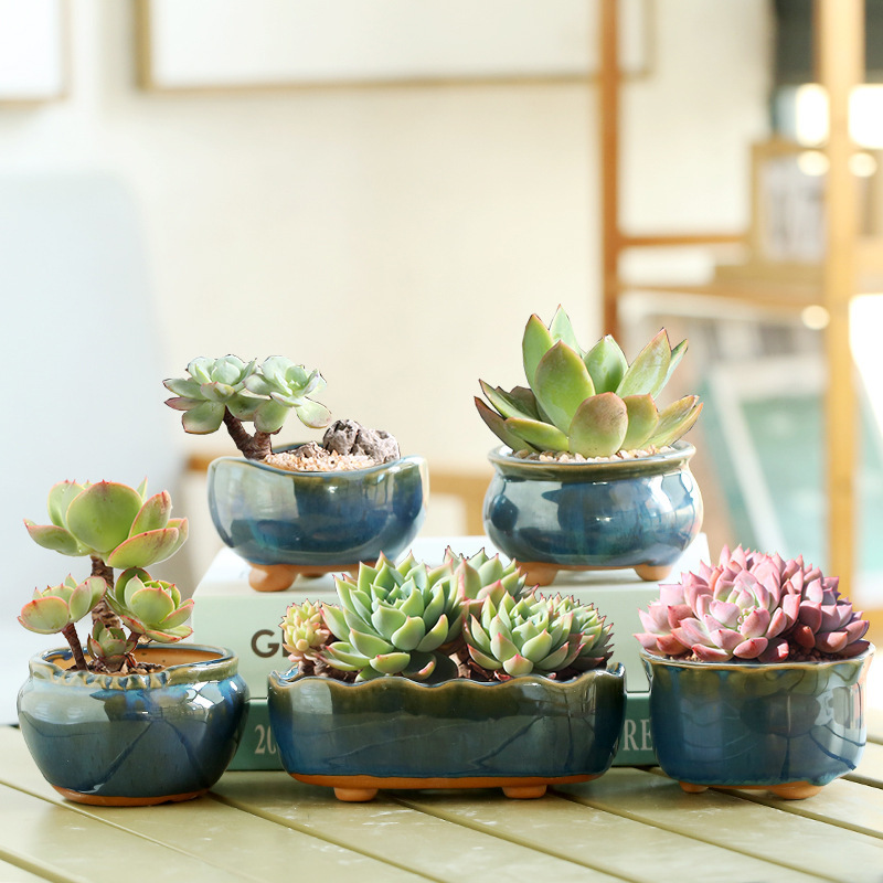 Aloe Vera Pot - กระถางเซรามิกสีน้ำเงินสไตล์เรโทรสำหรับปลูกไม้อวบน้ำ กระถางดอกไม้ขนาดเล็กสำหรับตกแต่งบ้านและระเบียง