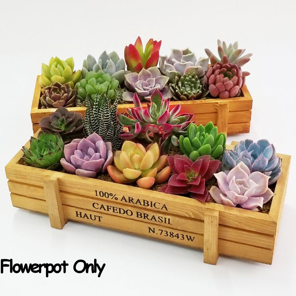 Aloe Vera Pot - กระถางตกแต่งสวน1อุปกรณ์ลอกฟิล์มกล่องไม้อวบน้ำแจกันทรงสี่เหลี่ยมผืนผ้ากระถางต้นไม้ทำจากไม้ทรงลังไม้สไตล์วินเทจ