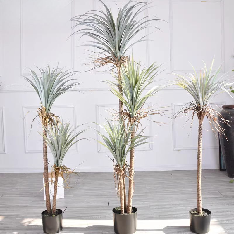 Dragon Blood Yucca ประดิษฐ์ต้น - Dracaena Marginata บทวิจารณ์และราคา