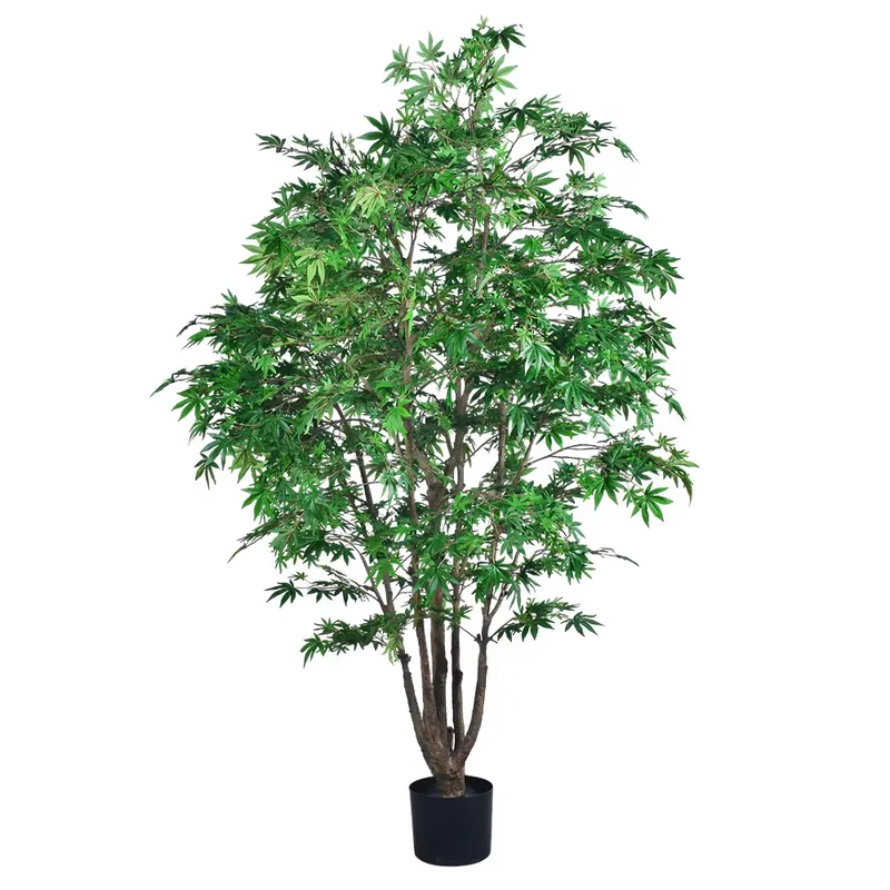 ต้นเมเปิ้ลสีเขียวปลอมแบบขายส่ง - Dracaena Marginata บทวิจารณ์และราคา