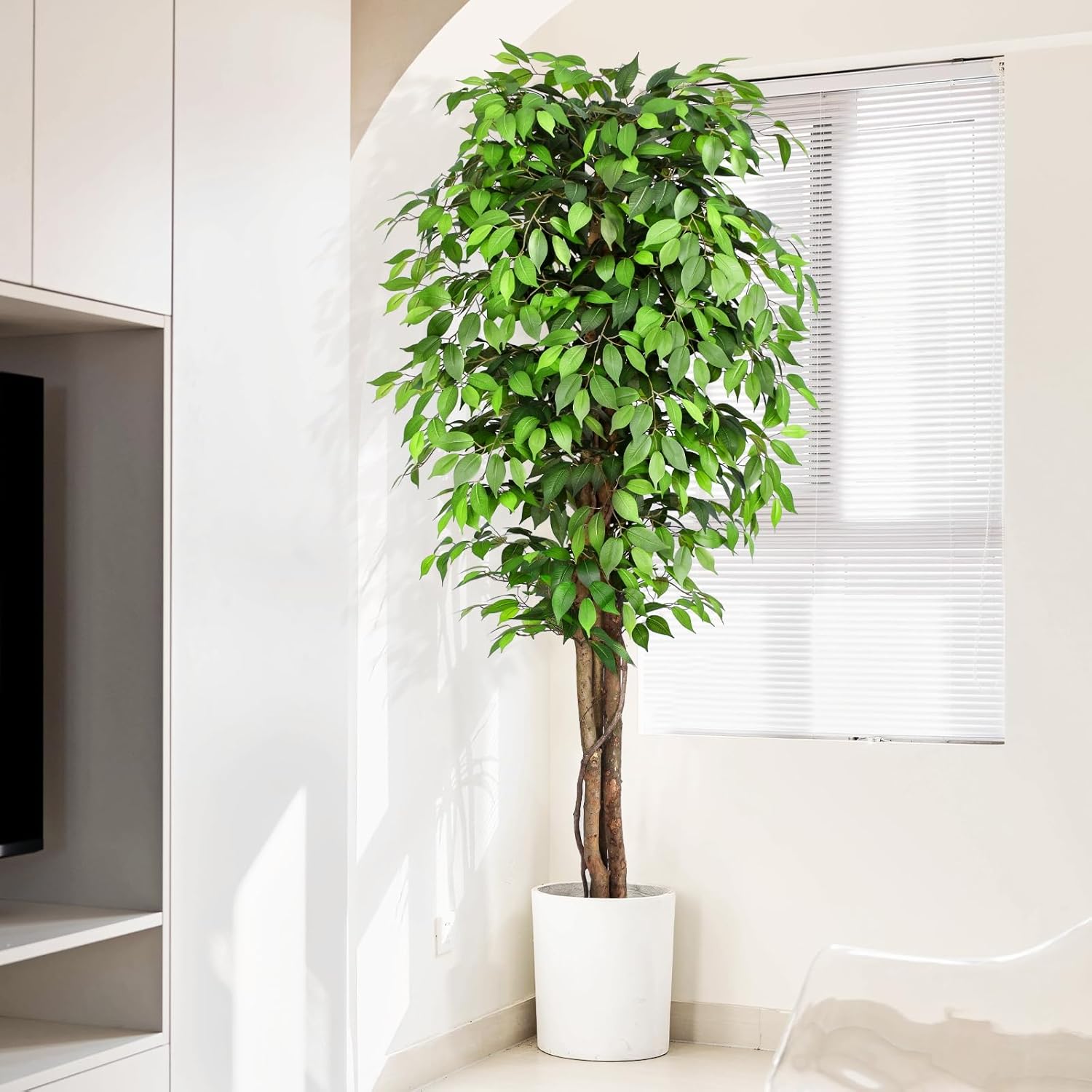 ต้นไทรประดิษฐ์เสมือนจริงพร้อมล - Ficus Lyrata Tree บทวิจารณ์และราคา