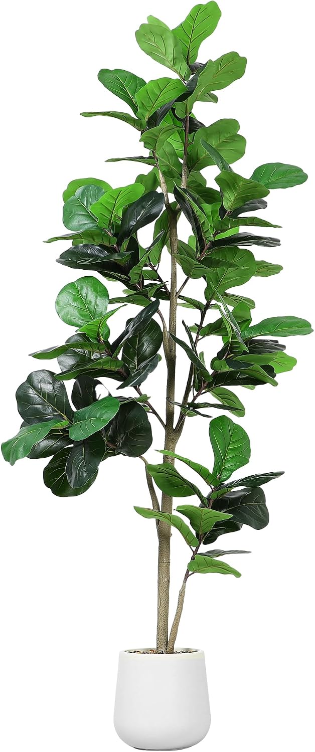 ต้นไม้ประดิษฐ์ฟิคัส ลีลาต้า ขน - Ficus Lyrata Tree บทวิจารณ์และราคา