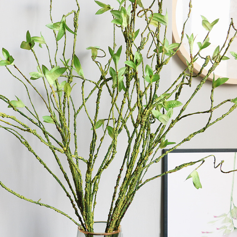 หวายเทียมแบบใหม่เถาวัลย์พืชสีเ - Dracaena Marginata บทวิจารณ์และราคา