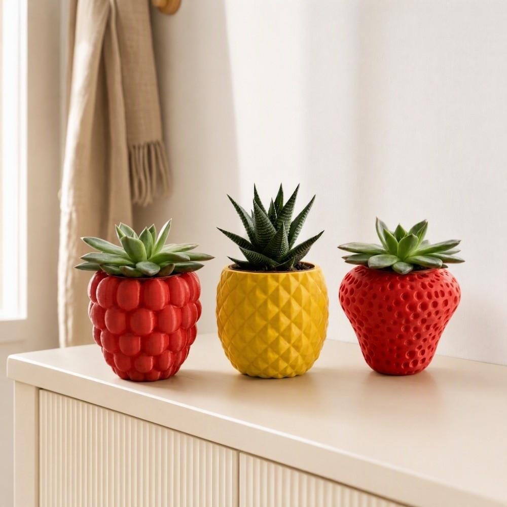 กระถางดอกไม้พลาสติกพิมพ์ 3 มิต - Echeveria Succulent บทวิจารณ์และราคา