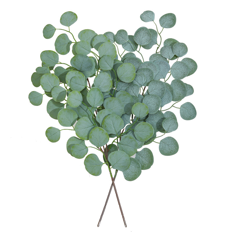 แจกันตกแต่งคริสต์มาสใบยูคาลิปต - Dracaena Marginata บทวิจารณ์และราคา