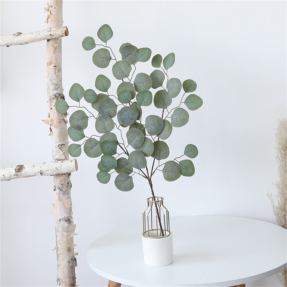 แจกันตกแต่งคริสต์มาสใบยูคาลิปต - Dracaena Marginata บทวิจารณ์และราคา