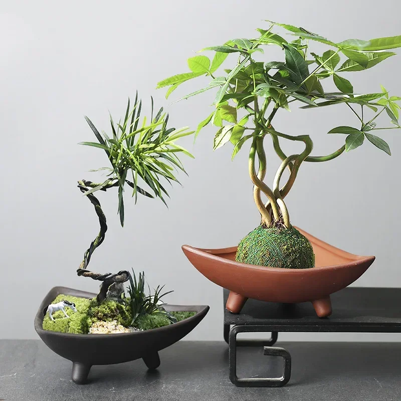 กระถางต้นไม้เซรามิคส่วนบุคคลสำ - Aloe Vera Pot บทวิจารณ์และราคา