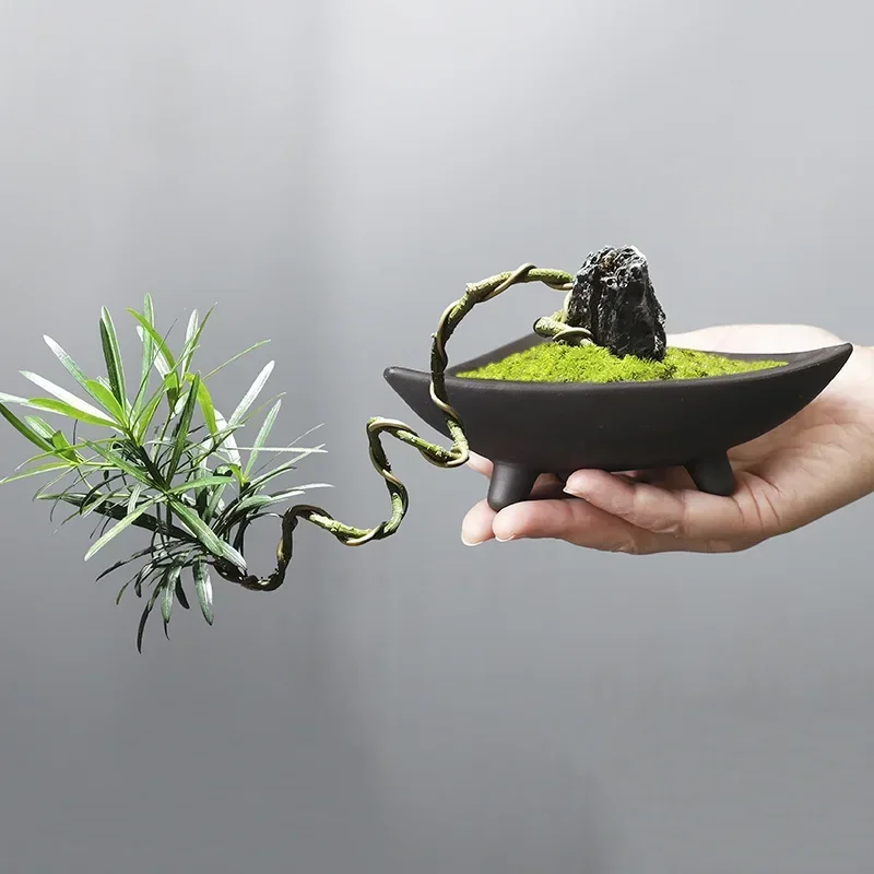กระถางต้นไม้เซรามิคส่วนบุคคลสำ - Aloe Vera Pot บทวิจารณ์และราคา
