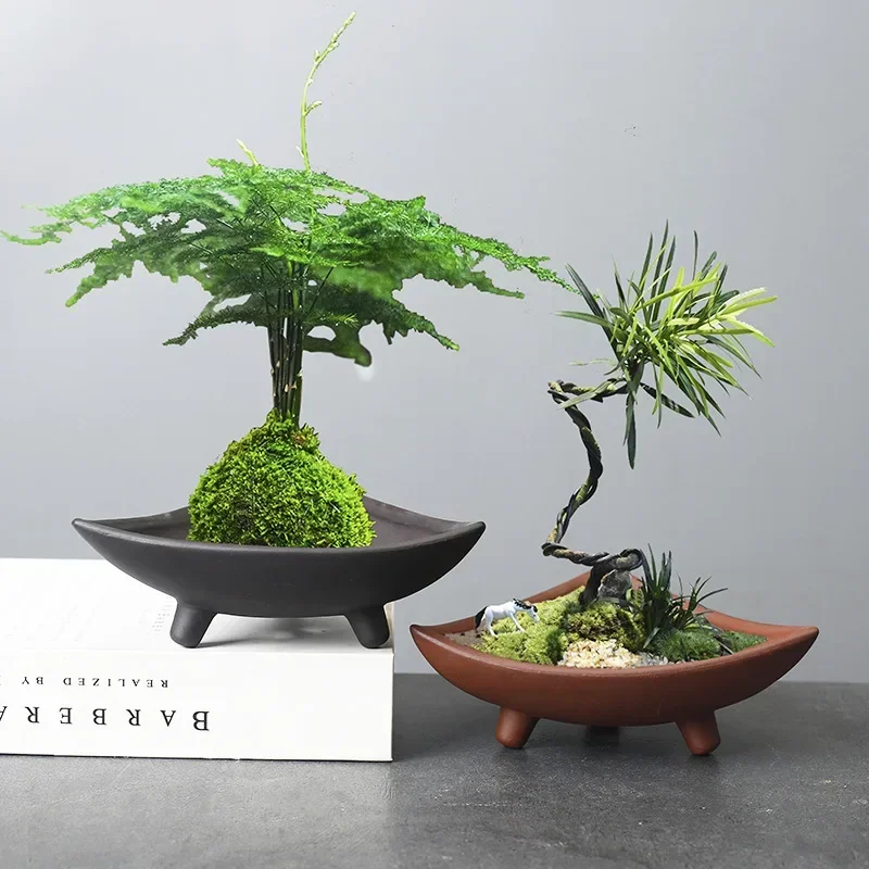 กระถางต้นไม้เซรามิคส่วนบุคคลสำ - Aloe Vera Pot บทวิจารณ์และราคา