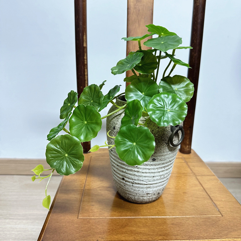 2 ชิ้น ต้นไม้ประดิษฐ์ ปาเลีย เ - Pilea Peperomioides บทวิจารณ์และราคา