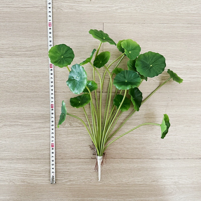 2 ชิ้น ต้นไม้ประดิษฐ์ ปาเลีย เ - Pilea Peperomioides บทวิจารณ์และราคา