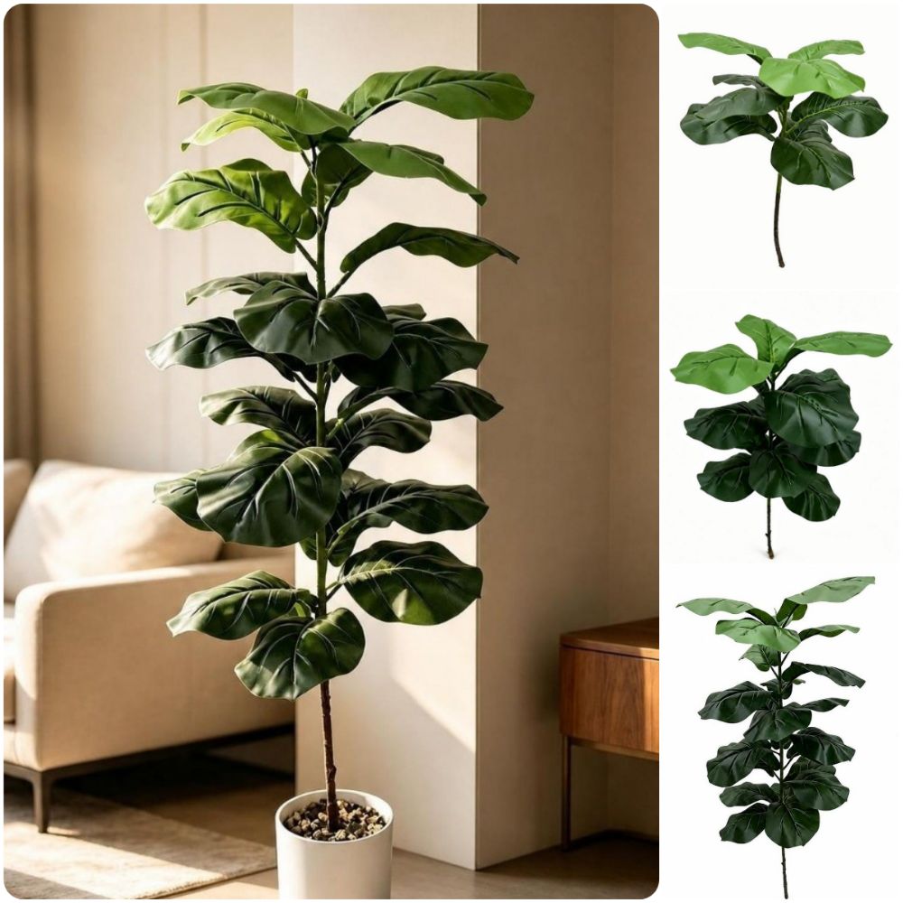 9/15/23 ใบไม้ประดิษฐ์ ต้นไทรลี - Ficus Lyrata Tree บทวิจารณ์และราคา