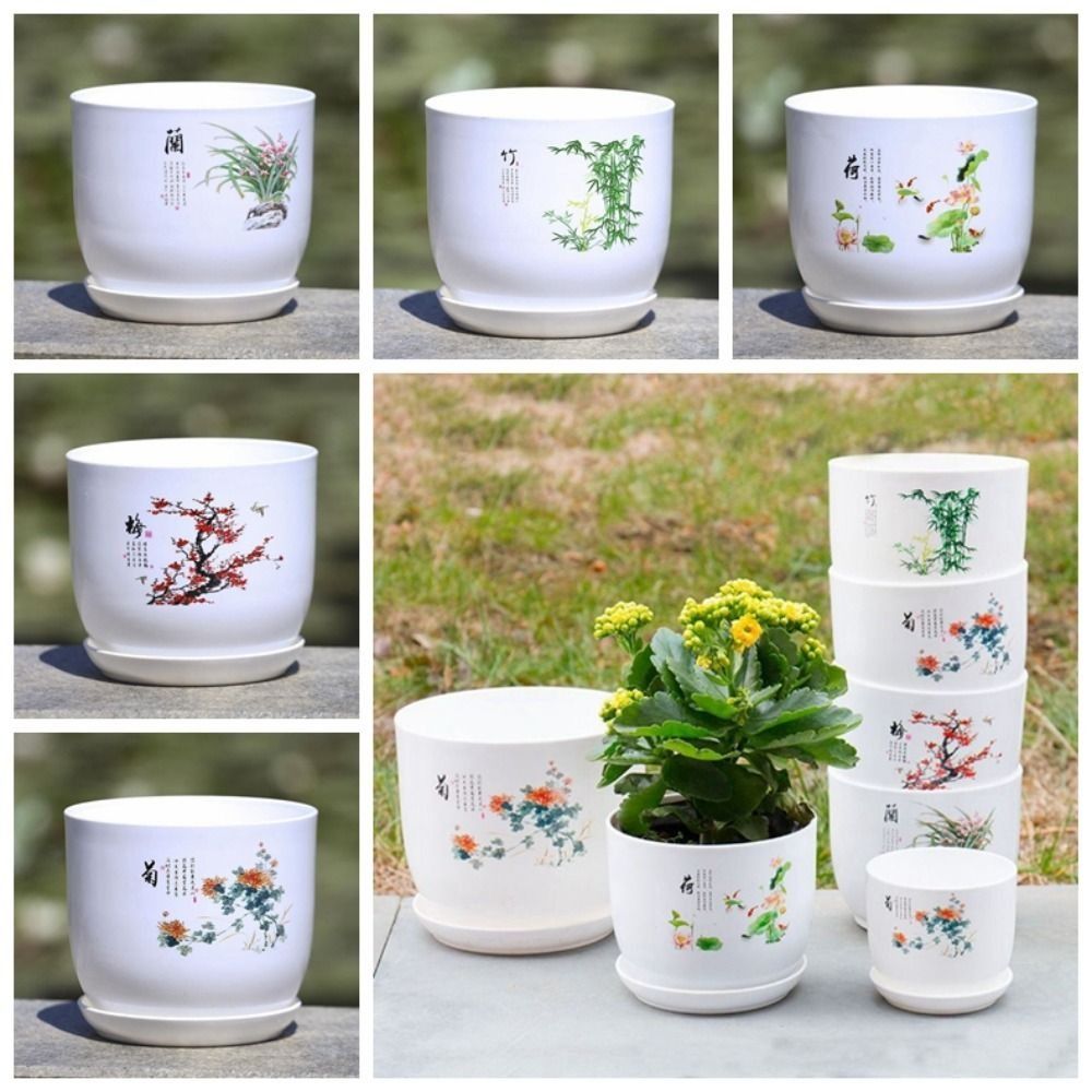 กระถางดอกไม้พลาสติกขนาดใหญ่พิเ - Aloe Vera Pot บทวิจารณ์และราคา
