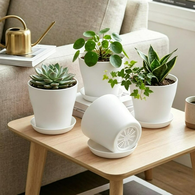 ชุดกระถางต้นไม้พร้อมรูระบายน้ำ - Aloe Vera Pot บทวิจารณ์และราคา