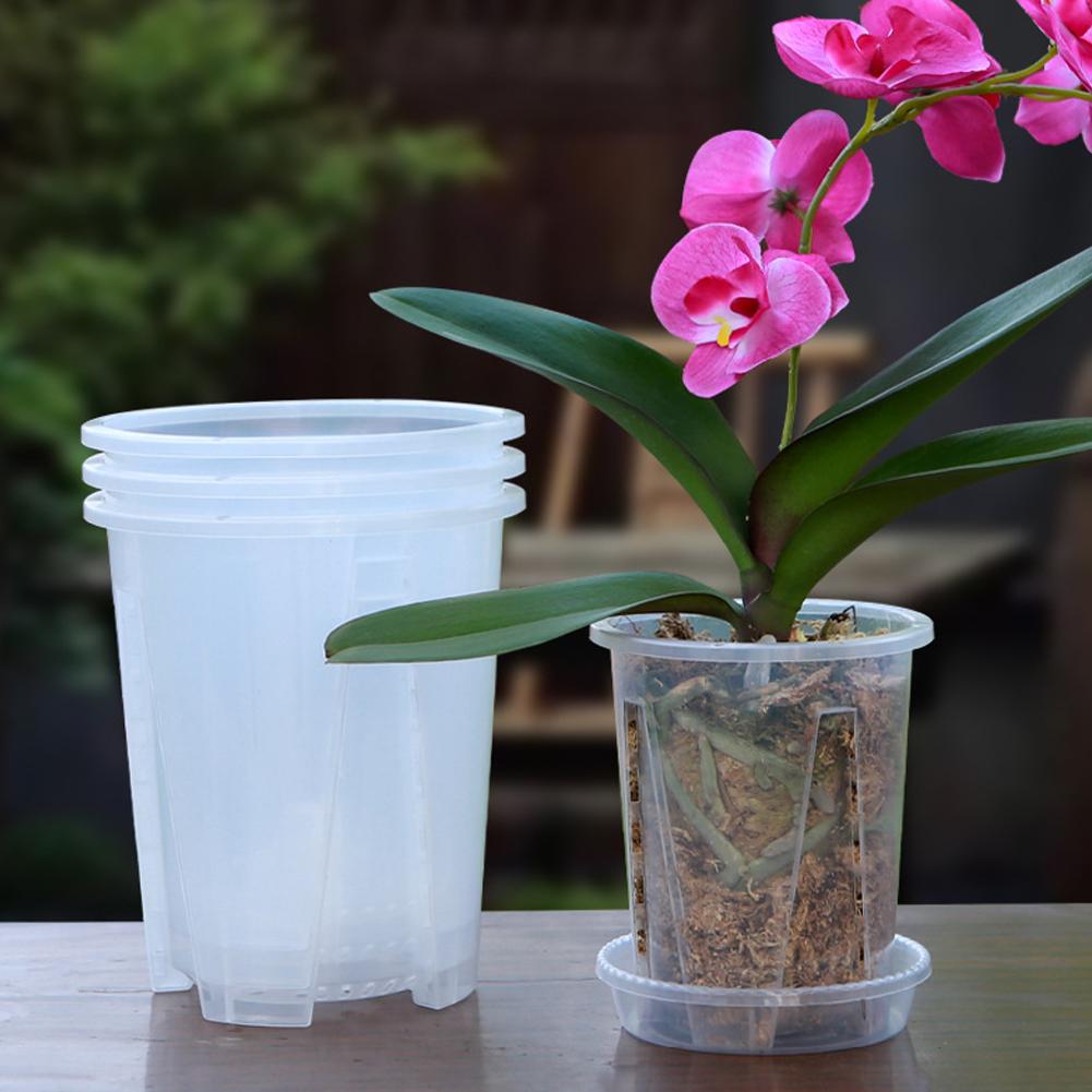 ชุด 5 ชิ้น/ชุด กระถางกล้วยไม้พ - Aloe Vera Pot บทวิจารณ์และราคา