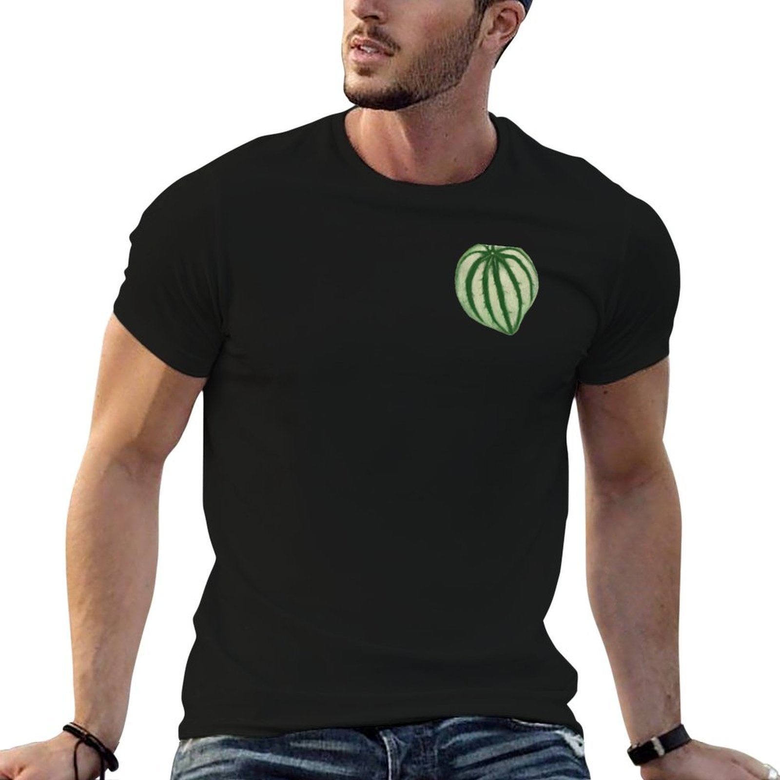 เสื้อยืดลายแตงโมและพีเปอร์โอมิ - Peperomia Watermelon บทวิจารณ์และราคา